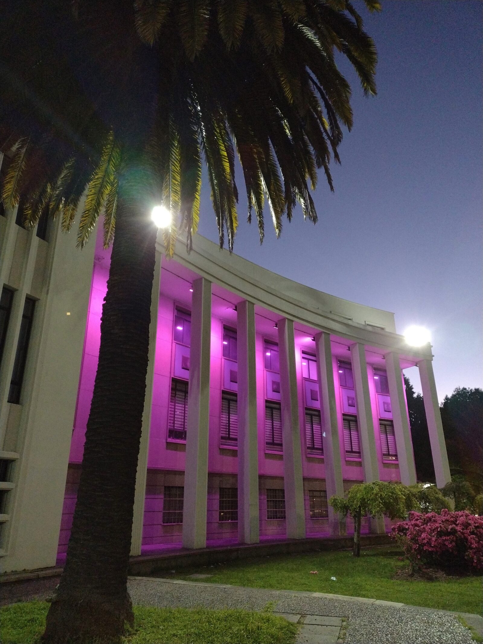Arco de la Facultad de Medicina, Universidad de Concepción